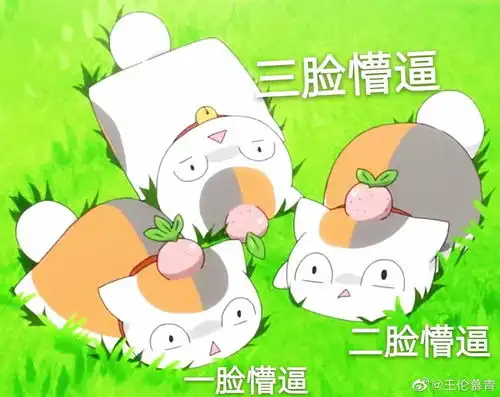 求可爱猫猫的表情包,谢谢啦
