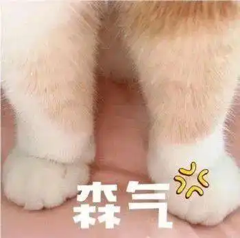 表情包姐妹成队,快乐加倍