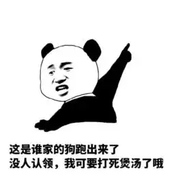 表情包丨群里的妹子,我爱你们