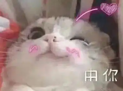 我们曾来自五湖四海,将散去地北天南