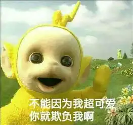 新买的秋装终于送到了气温却告诉我要穿冬装