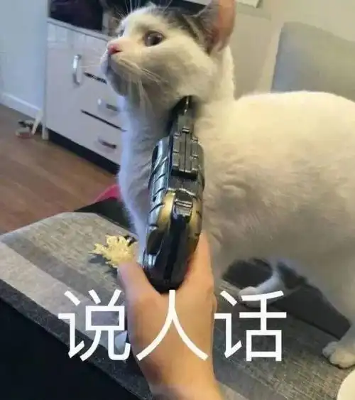 表情包猛虎落泪