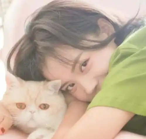 男生抱猫咪头像图片天秤