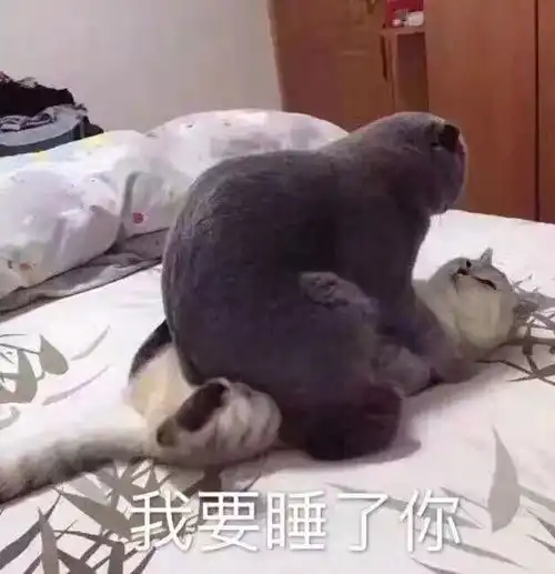 悔恨昨晚差点shui到他