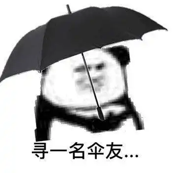 直冲26厦门气温玩蹦极一秒入夏接下来更刺激