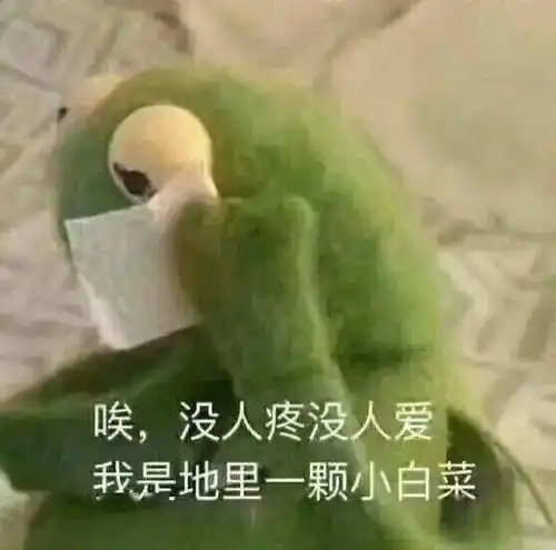 如何找到一个护士女朋友每日搞笑段子
