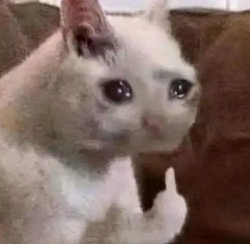 流泪猫猫头表情包返场