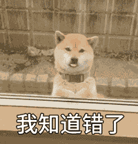 柴犬表情包卡通gif狗狗