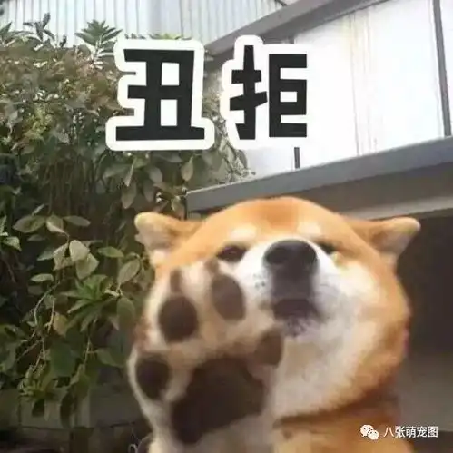 现代人虐狗的三大行为,你遇到过吗