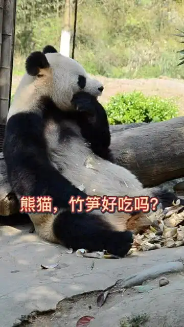 竹笋好不好吃,你看我的表情你就知道了啊