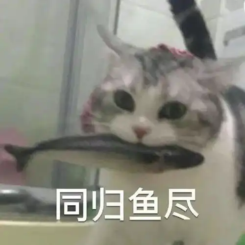 男同事对除了他妈妈以外的女生都过敏有点过分了吧...