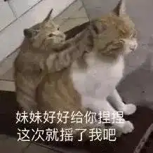 近期斗图表情包精选