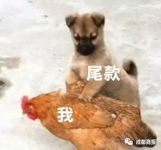 好家伙破3723亿我工资全没了
