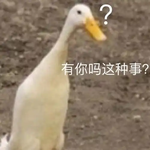 打嘉和孔,看看你的输入法说些啥