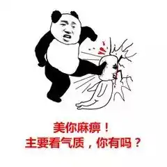 朋友圈主要看气质是什么鬼
