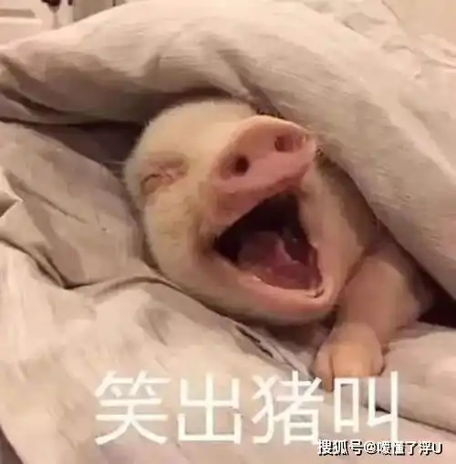 王者荣耀英雄身高介绍加英雄身高对比,原来李白没有虞姬高