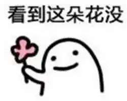 钢铁直男寒江凭本事单身,ballball少主的脑回路,醒醒吧