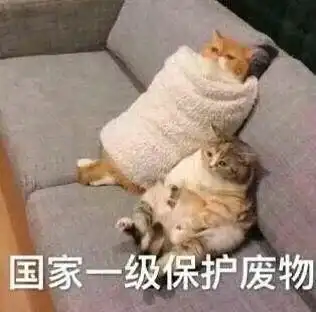 被马思纯校园旧照吓到不敢相信大美女还会被霸凌强灌粉笔灰抹布水