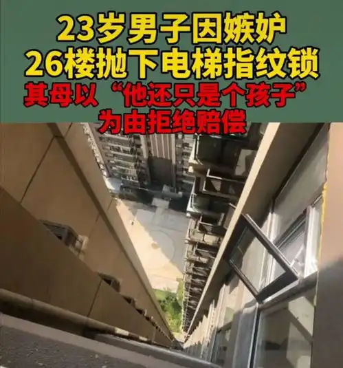 23岁男子故意损坏电梯指纹锁,面对索赔其母拒绝,称他是个孩子