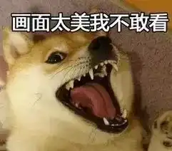 趣闻只有上海人才能懂的2017年度总结,扎心了