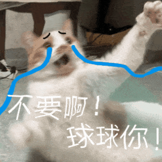 今日表情包,1124