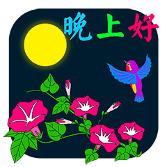 让我的思念与祝福,守护着你的睡眠,晚安