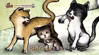 小猫见亡母最后一面时难过地眼眶泛泪...有洋葱...