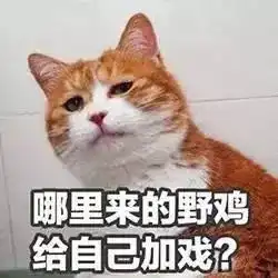 撩妹超甜表情包魂淡