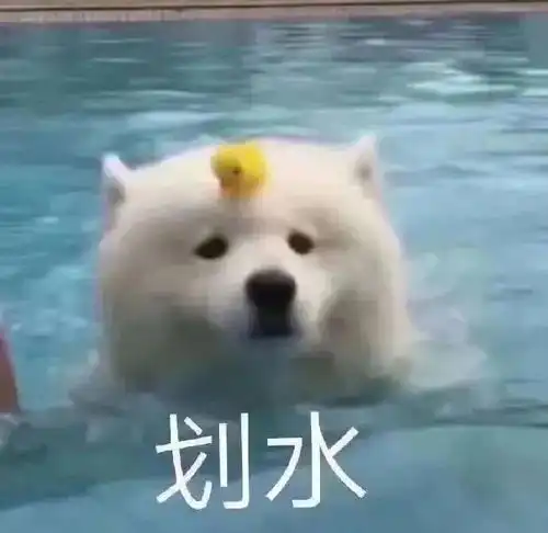 表情包我就是一个老醋坛子