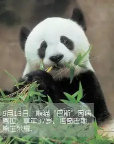 3d巴斯,向世界人民问好刷屏,明天10时送巴斯最后一程