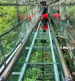 一网打尽65元1大1小金鸡岩网红套票炸裂玻璃桥玻璃滑道纳喊喷泉吉尼斯纪录金鸡平台n项目