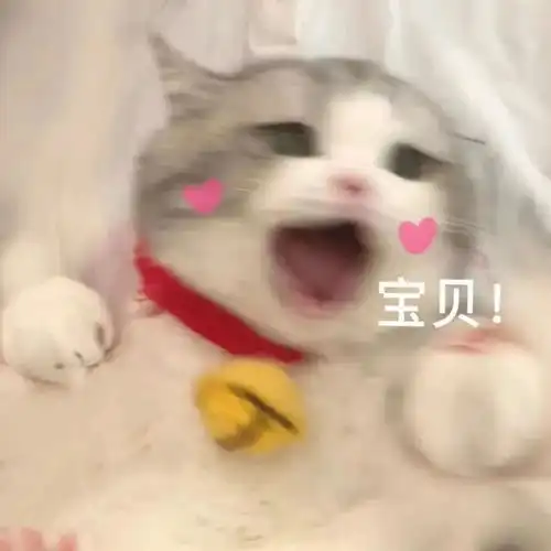 学校的表白墙能有多搞笑