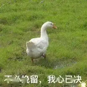 这太太太太刺激了,快上车