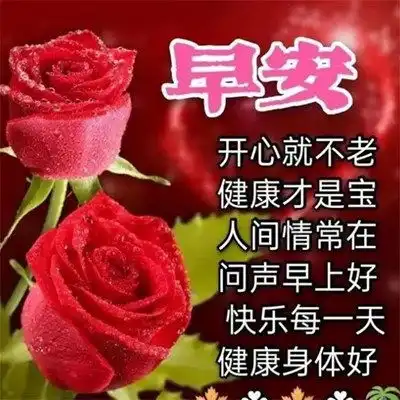 2023最新早晨好早上好漂亮问候祝福图片头像