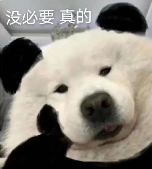 痘痘不用管真的能自愈吗