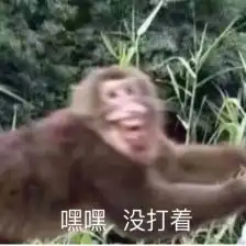 python3函数