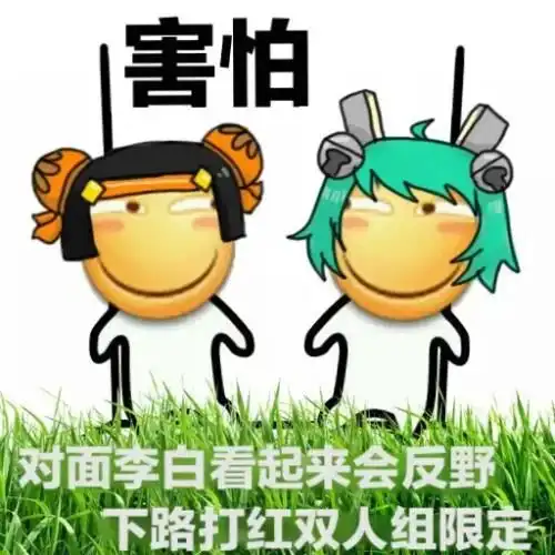 驾考表情包鲁班