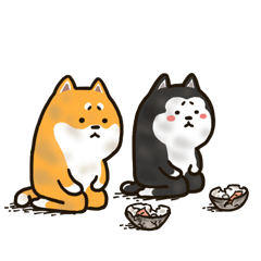 二哈萌柴2微信表情包