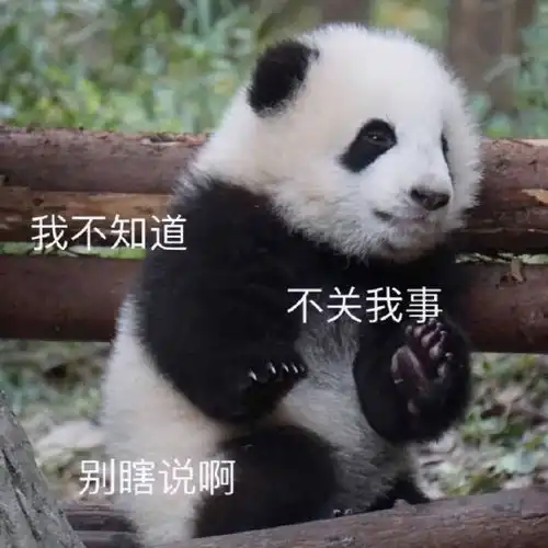 斗图表情包合集不知该哭还是该笑