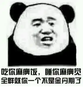 修仙表情包不睡觉修仙表情包黑眼圈熊猫修仙表情包