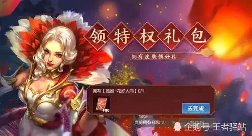 王者荣耀皮肤特权礼包3种方式使用,新增动态表情,必得66积分