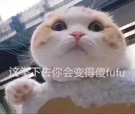 电子音乐资讯全职笔者对外代稿费用再度上调