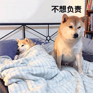 我不管,我就要耍赖