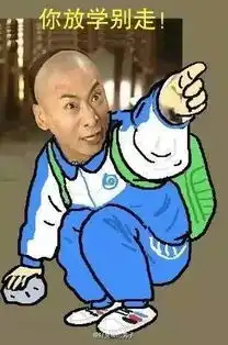 生命是如此精彩表情包行