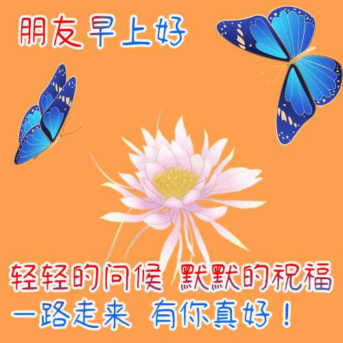 默默祝福朋友的早安动态图片真心真意的早上好动态表情包