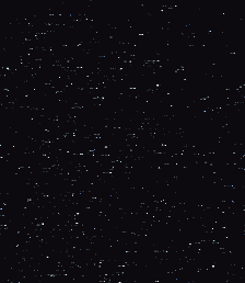 theshy白猫表情包gif