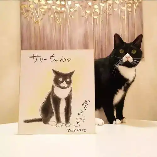 日本一猫咪长了一个心形嘴,在铲屎官的助攻下火遍网络