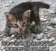 女生专用斗图表情包