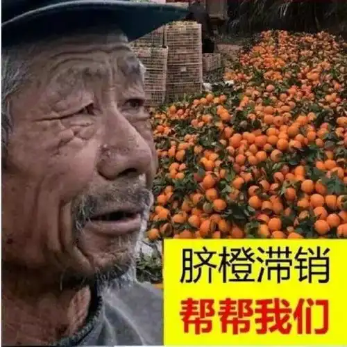 某宝第一网红大爷,家业直逼马云