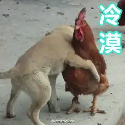 公鸡奔跑表情包